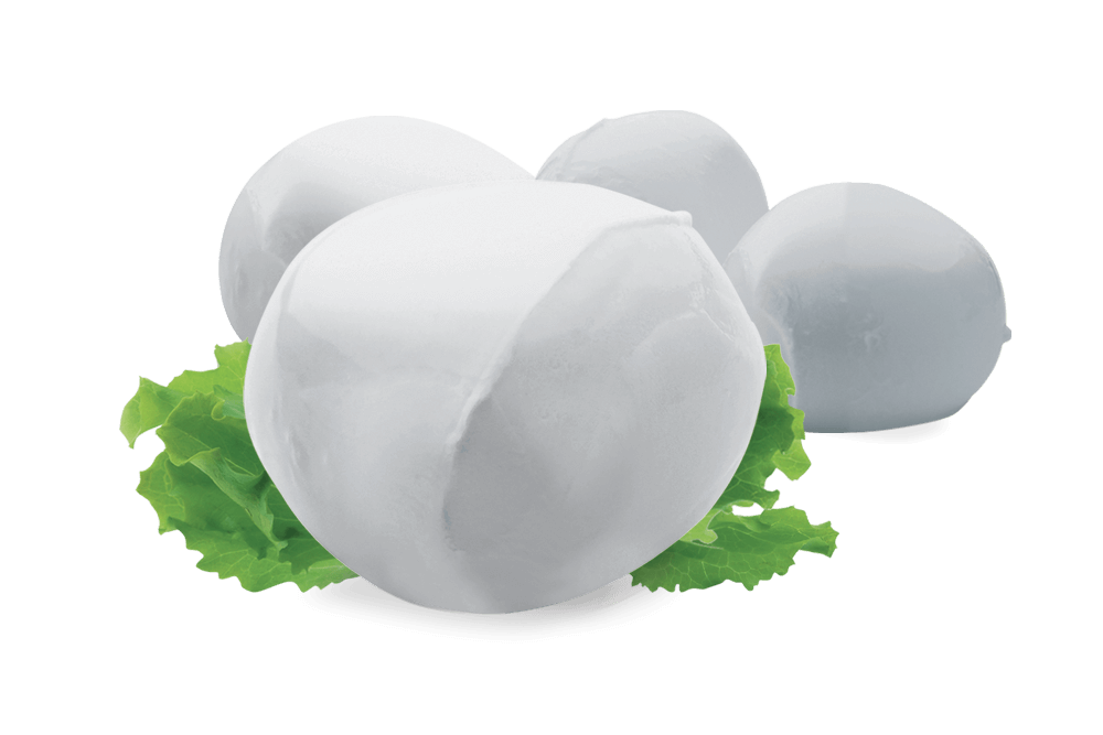 Mozzarella di Bufala Campana DOP 1 Mozzarella di Bufala Campana DOP fresca Caseificio Modianus