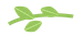 icon basilico